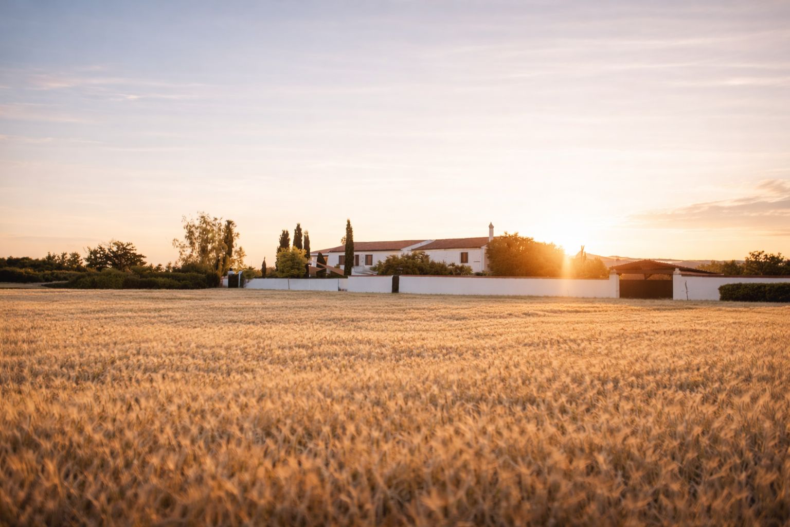 Vista panorámica de la finca heart & ponie desde lejos