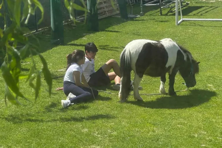 Microturismo para urbanitas: escapadas cortas con impacto positivo