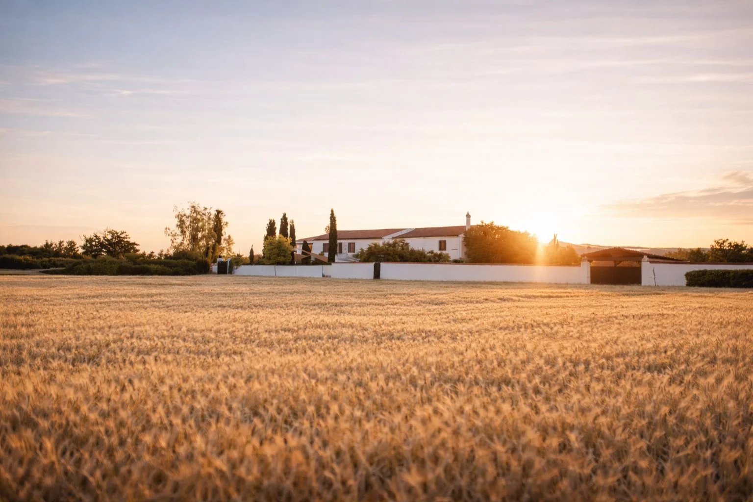 Atardecer sobre los campos de la finca heart & ponie cerca de Chinchón
